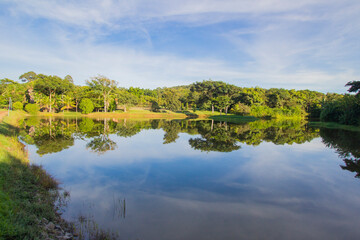 Fototapeta na wymiar Peace and silence at beautiful brazilian savannah lake