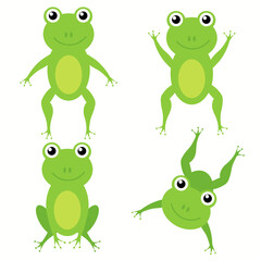 Cartoon frogs. Green cute frogs