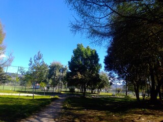 autumn in the park