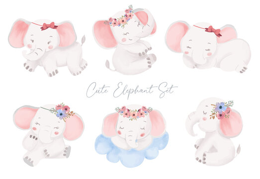 Cute Little Baby Elephant watercolor with flower wreath hand drawing illustration. Safari animal set