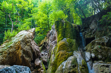 Mountain river landscape, the valley of ghosts, grass, rocks, Crimea Trekking