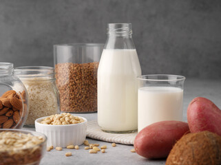 Assortment of organic vegan non-dairy milk from nuts, pine nuts, oatmeal, rice, buckwheat, almonds, coconut in glasses on a gray background. Drink, healthcare, diet and nutrition concept. Copy space.