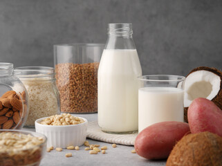 Assortment of organic vegan non-dairy milk from nuts, pine nuts, oatmeal, rice, buckwheat, almonds, coconut in glasses on a gray background. Drink, healthcare, diet and nutrition concept. Copy space.