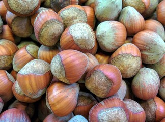 Hazelnuts