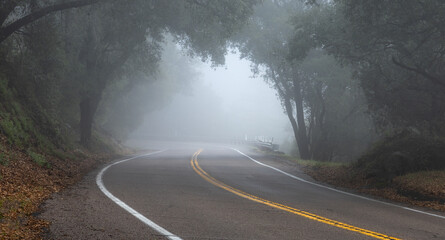 mountain road leads to canopy and dense fog and whiteout conditions - 497972133