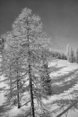 Obraz na płótnie Canvas Beautiful panorama shot in Montgenevre, French Alpine Resort, France during Winter