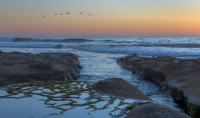 california seashore at dusk with tidepools and pelicans in flight - 497972731