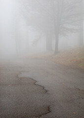 cracked mountain road in heavy fog - 497973170