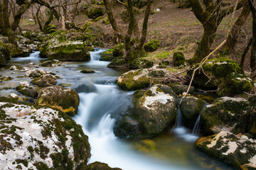 waterfall in the woods