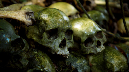 Many green human skulls and bones lying on the ground in the forest, covered in moss in an old...