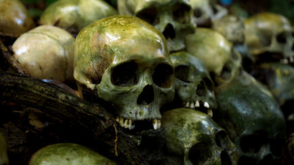Many green human skulls and bones lying on the ground in the forest, covered in moss in an old abandoned cemetery