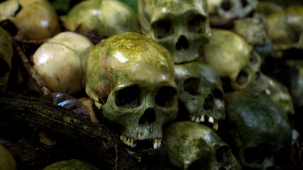 Many green human skulls and bones lying on the ground in the forest, covered in moss in an old abandoned cemetery