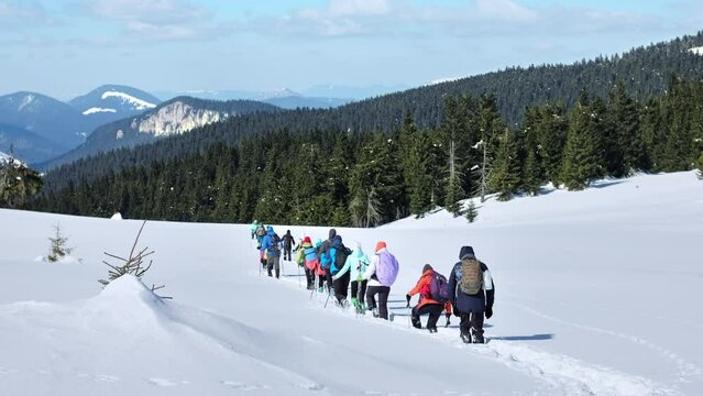 Hiking tour in the winter Carpathians, Romania. A group of people with backpacks and ski poles climbing. Snow forest