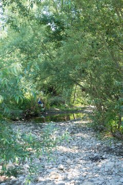 fiume calore