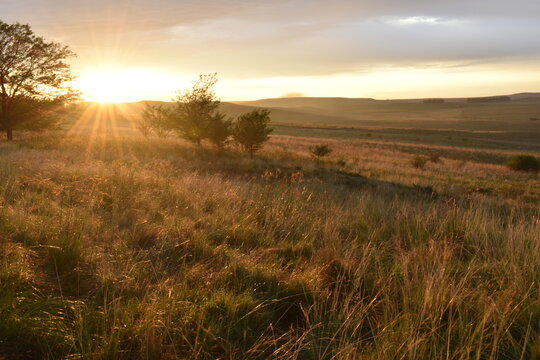 Beautiful sunset