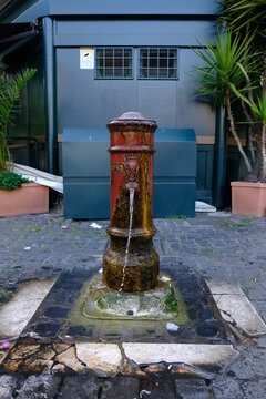 nasone