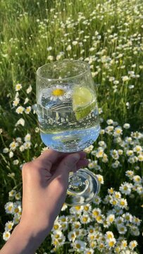 Holding glass of water with chamomile and lime