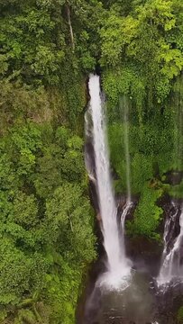 Top view of the forest waterfall