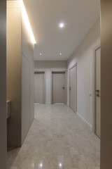 Vertical photo of corridor in beige stylish Interior design of the apartment. Design in beige tones. Doors in the color of the walls.
