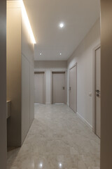 Vertical photo of corridor in beige stylish Interior design of the apartment. Design in beige...