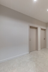 Vertical photo of corridor in beige stylish Interior design of the apartment. Design in beige tones. Doors in the color of the walls.