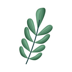 green branch with leafs
