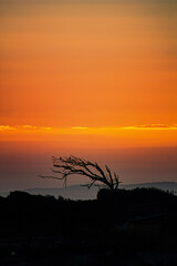 sunset in the desert