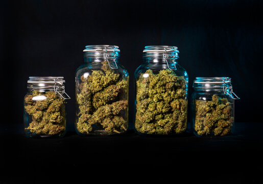 Dried cannabis buds stored in a glass jar