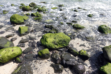 Vulkangestein in der Brandungszone der Playa las Gaviotas