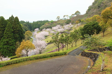 春のサボーランドパーク姶良の風景