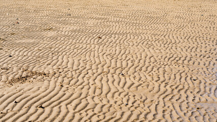 風と波でできた砂浜の風紋