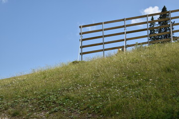 fence on the field