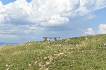 bench in the field