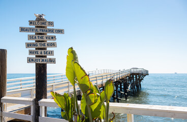 Seagull on the pier at the beach 