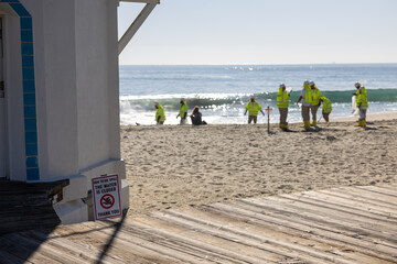 People cleaning up the beach after oil spill in the Pacific Ocean in California 