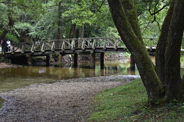 bridge over the river