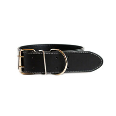 black leather belt on white
