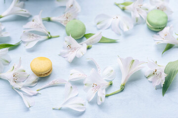  spring background flower petals and sweet macaroon cookies on a light blue background.

