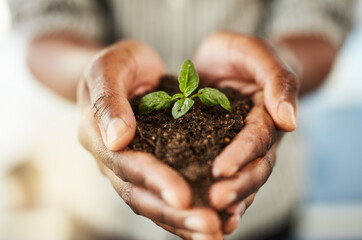 Grow your own. Cropped shot of hands holding a plant growing out of soil.