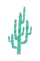 Fototapeta na wymiar cactus icon isolated