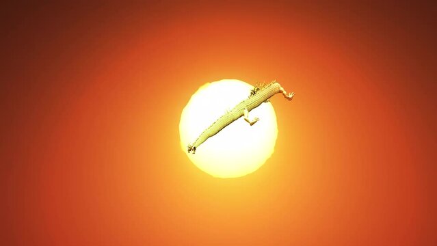 3D rendering Chinese dragon move pass camera to the full sun with heat haze effect.
