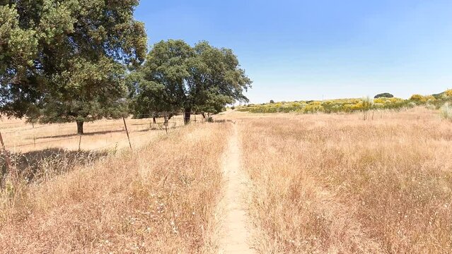 Via de la Plata, a rural path next to Grimaldo, province of C&aacute;ceres, Extremadura, Spain - dolly