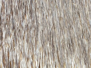 Shaggy thatched roof detail horizontal background texture