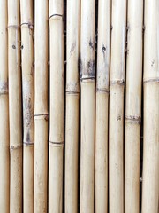 Vertical bamboo poles natural background texture