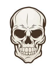 skeleton skull head