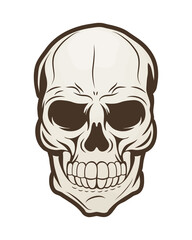 skeleton skull head