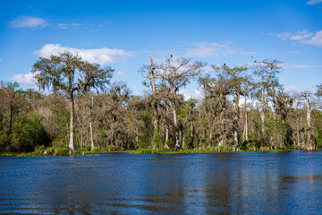 Wakulla Springs
