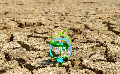The concept of increasing the oxygen in the air by planting trees ecology o2