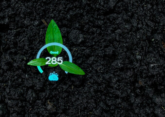The concept of increasing the oxygen in the air by planting trees ecology o2
