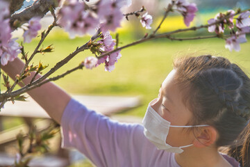 桜を眺める子供